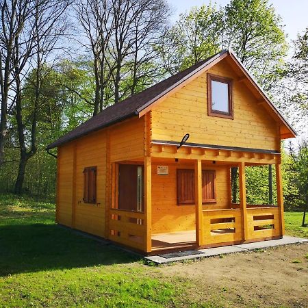 Janowickie Zacisze Villa Janowice Wielkie Bagian luar foto