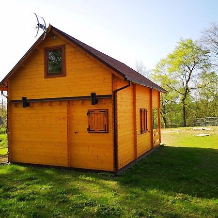 Janowickie Zacisze Villa Janowice Wielkie Bagian luar foto